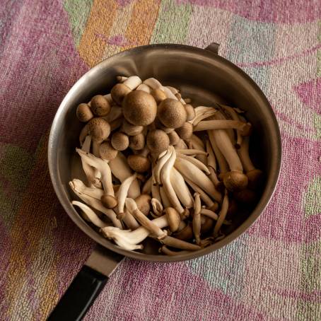 Top View of Fresh Beech Mushrooms Hypsizygus marmoreus Isolated on White Background