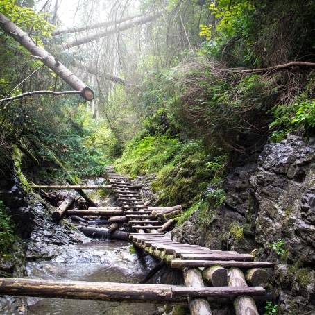 Unforgettable Panoramas at Tomasovsky Vyhlad in Slovak Paradise National Park