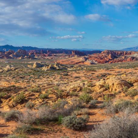 Valley of Fire Fire Wave at Dusk