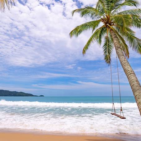 Vast Tropical Beach with Coconut Trees and Clear Sky