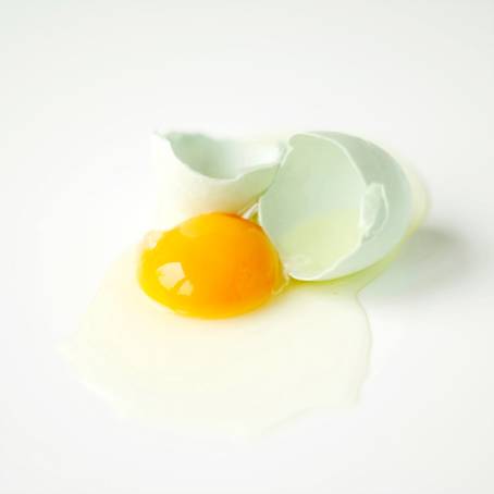 Vertical CloseUp of Broken Egg with Yolk and Shell on White Surface