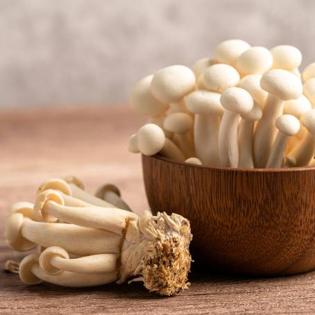 Vertical Image of Fresh Beech Mushrooms Hypsizygus marmoreus Isolated on  Background