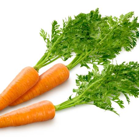 Vertical Top View of Fresh Carrots Baby Carrot, Daucas Carota Isolated on White Surface