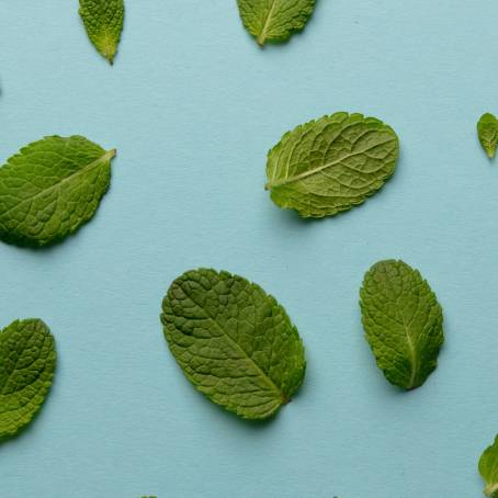 Vibrant Green Mint Leaves CloseUp Intricate Textures and Detailed Foliage Patterns