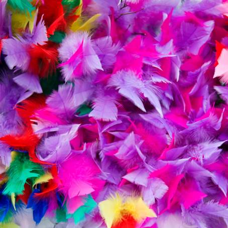 Vivid Feather Close Up with a Multicolored Background and Yellow Highlights