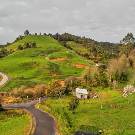 Waitomo A Glimpse into New Zealands Countryside