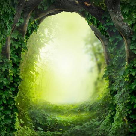 Whimsical Spring Landscape Road Through Magic Forest with Lilac Trees in Bloom