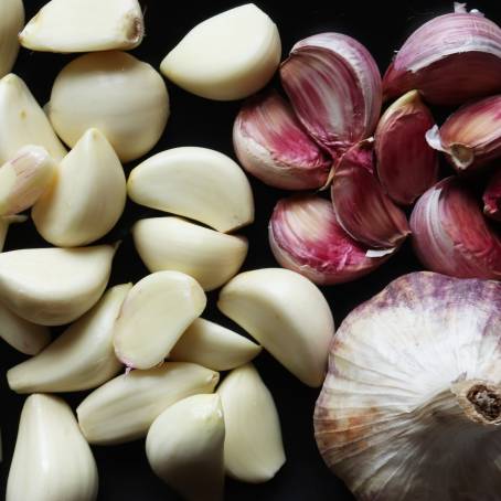 White Background Garlic Head and Cloves CloseUp