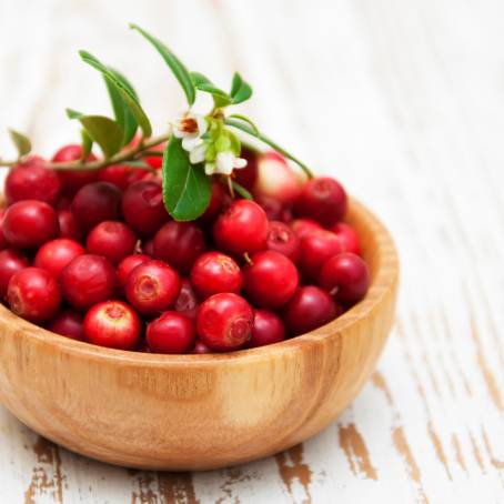 White Background with Isolated Cranberries and Leaves Full Depth Focus, Top View of Juicy Berries