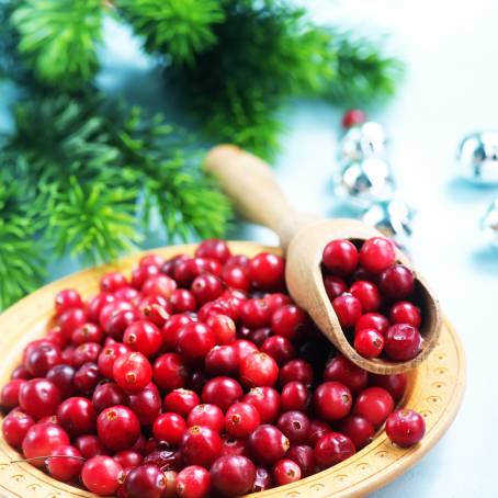 White Background with Isolated Cranberries and Leaves Top View of Berries, Full Depth Focus