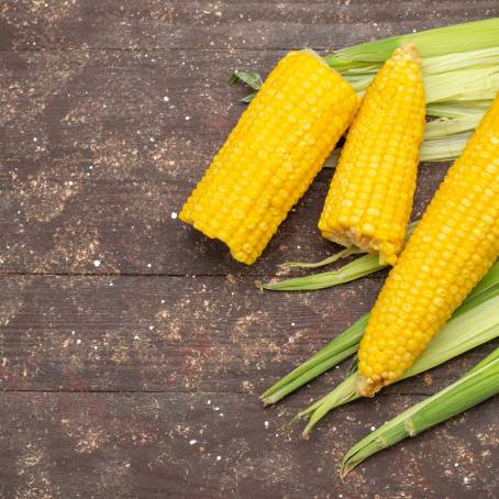 White Isolated Corn Ear with Seeds Top View