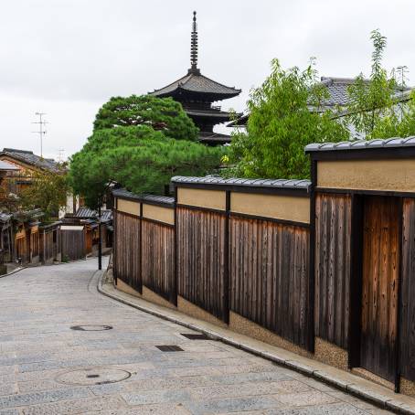 Yasaka Pagoda in Kyoto Cherry Blossom Full Bloom Spring