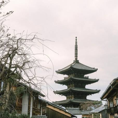 Yasaka Pagoda in Kyoto Cherry Blossoms at Their Best