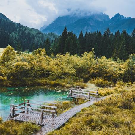 Zelenci Nature Reserve Morning Glory in Slovenia