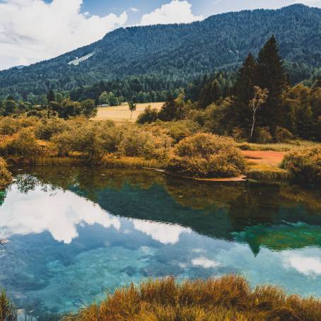 Zelenci Nature Reserve Morning Splendor in Slovenia